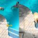 Video: Blind Golden Retriever Swims in the Pool To Cool off on Hot Day