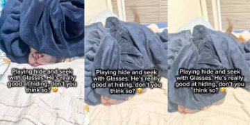 Video: Dog Reveals Hiding Spot During Hide-And-Seek by Doing This