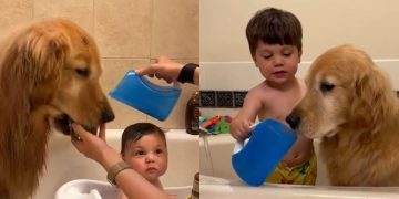 Cute Video Shows Golden Retriever & Toddler Sharing Bathtime