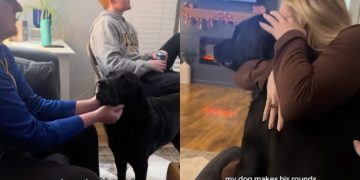 Video: Dog Goes to Every Guest, Turn by Turn, to Get Attention