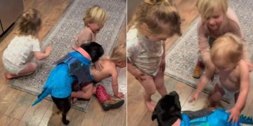 Video: Staffy Is Invested in ‘Playing Pretend’ With Kids