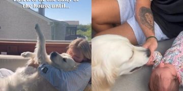 Golden Retriever Is Little Girl’s Big Sister Now After Once Being the Baby