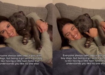 Girl Dog Is Mom’s Little Twin the Way She Gets Her Like No One Else