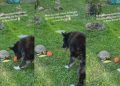 Owner Catches Senior Dog Asking Tortoise To Throw Ball