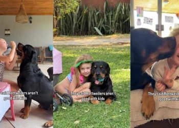 Dog Is the Best Companion This Little Girl Could Ask For, Here’s Proof