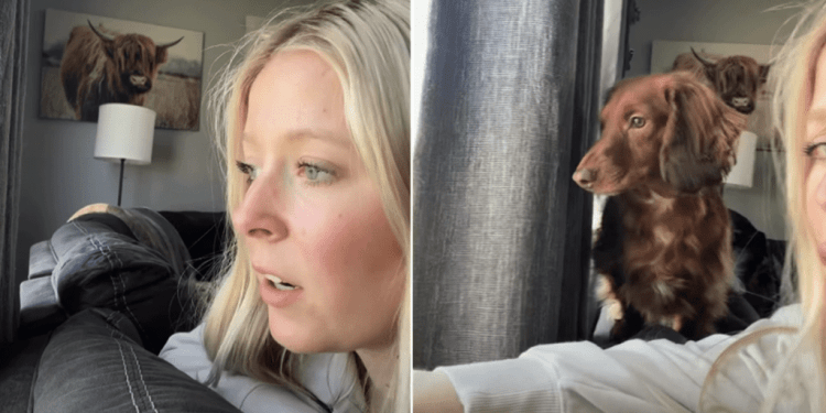Dog Immediately Joins Owner To Inspect Who Was Outside