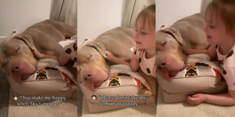 Big Dog Gently Falls Asleep as Little Girl Sings Her Song & Cuddles Him