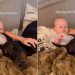 Dog Stays Calm With Baby, Shows What Growing up as Best Friends Looks Like