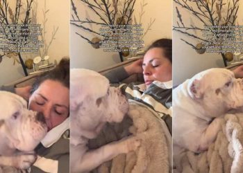 Dog Once Needed Mom’s Care in Emergency, Doesn’t Leave Her When She’s Sick