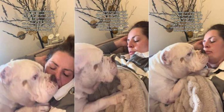 Dog Once Needed Mom’s Care in Emergency, Doesn’t Leave Her When She’s Sick