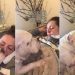 Dog Once Needed Mom’s Care in Emergency, Doesn’t Leave Her When She’s Sick