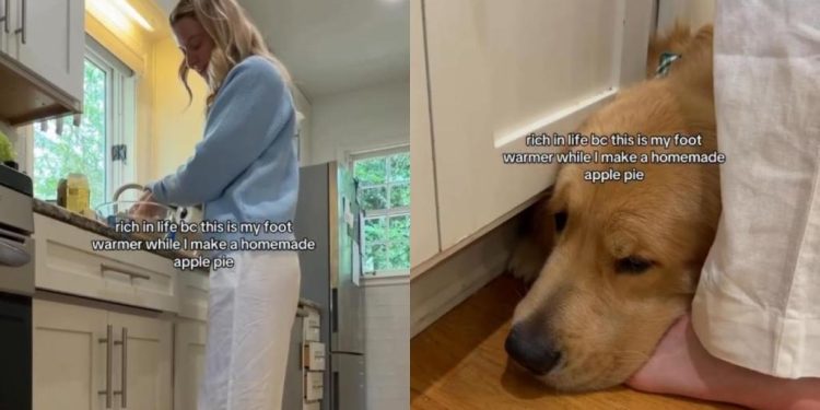Golden Retriever Acts as Mom’s ‘Foot Warmer’ in the Kitchen