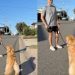 Dog Beats Dad in ‘Loyalty Test’ for Mom