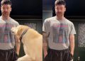 Labrador Can’t Stop Reacting Every Time Dad Says ‘Go for a Ride’