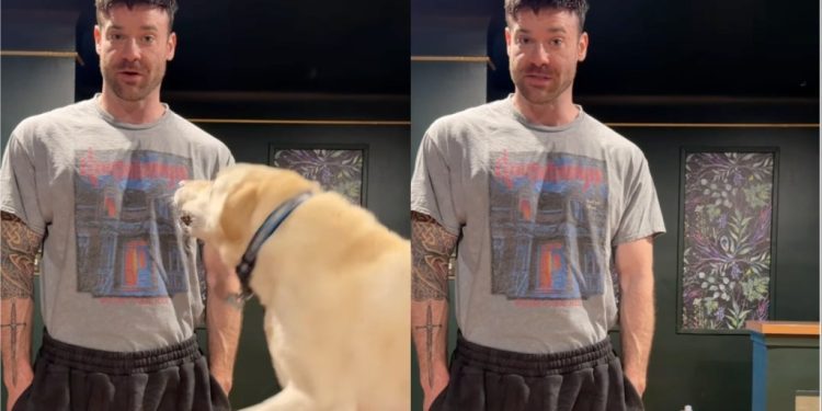 Labrador Can’t Stop Reacting Every Time Dad Says ‘Go for a Ride’