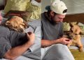 Rescue Dog Listens When Dad Says It’s Okay, Then Gets Cuddles & Treats