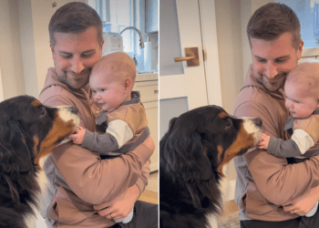Owner Captures Precious Moment of Dog & Baby Becoming Besties