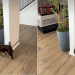 Dog Goes Round & Round To Catch Own Leash