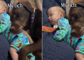 Dog & Baby Cuddle for the Most Peaceful Nap Together