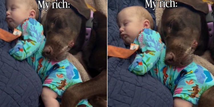 Dog & Baby Cuddle for the Most Peaceful Nap Together