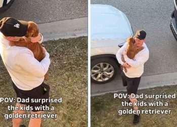 Golden Retriever Puppy Sends Kids Screaming With Joy in Surprise Dad Knew They Needed