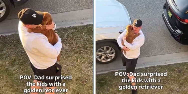 Golden Retriever Puppy Sends Kids Screaming With Joy in Surprise Dad Knew They Needed