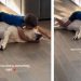 Dog Gets So Much Love From Little Boy, He Responds With Endless Kisses