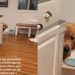 Golden Retriever Is Scared of the Dishwasher for a Very Valid Reason
