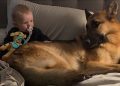 Dog & Little Boy Share the Sweetest Look Before Melting Into a Cuddle