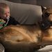 Dog & Little Boy Share the Sweetest Look Before Melting Into a Cuddle