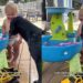 Dog Plays a Backyard Game With Toddler & Watches Him Laugh Like It’s Her Favorite Thing