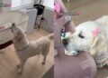 Golden Retriever Has Loved Little Girl Like Her Own Baby Since Day One & It Shows
