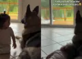 After Toddler Senses Dog Is Afraid of the Rain, She Makes the Sweetest Gesture