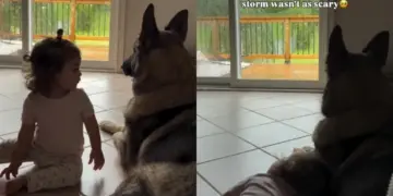 After Toddler Senses Dog Is Afraid of the Rain, She Makes the Sweetest Gesture