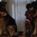 Toddler Wraps His Arms Around Big Dog To Greet Him With the Sweetest Morning Hugs