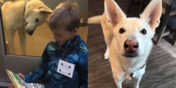 Little Boy’s Journey With Rescue Dog Began at the Shelter & the Rest Was History