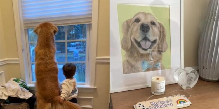 The Place This Golden Retriever Loved Most Lives on in the Sweetest Way