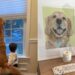 The Place This Golden Retriever Loved Most Lives on in the Sweetest Way