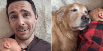 Golden Retriever Is Practically Attached to Baby During Their Joint Naptime