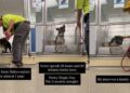 Shelter Dog Gets a Mere 10-Minute Respite From His Tiny Kennel Every Single Day