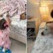 Toddler Refuses To Go To Sleep Without Golden Retriever Like That’s All She Needs