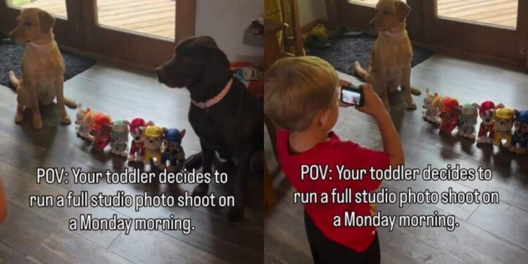 Dogs Understand Toddler in a Way Nobody Else Would & It Shows
