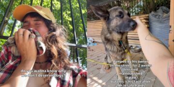 Human Finds ‘Terrified’ Rescue Dog Dumped on the Street, Only To Be Left in Tears