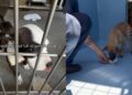 Shelter Dogs Get a Heartwarming Surprise That They Weren’t Prepared For