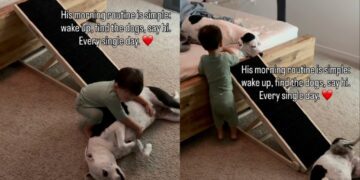 Toddler’s Morning Routine Includes Finding the Dogs & Greeting Them With Belly Rubs