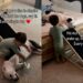 Toddler’s Morning Routine Includes Finding the Dogs & Greeting Them With Belly Rubs
