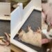 Mama Dog’s Baby Gets Separated From Her, Then Struggles To Find His Way Back Into Her Embrace