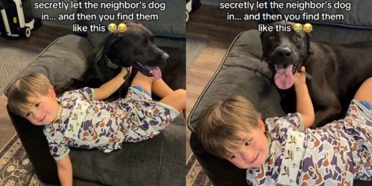 Toddler Welcomes Neighbor’s Dog Inside Like He’s Also Family, Then They Cuddle on the Couch