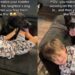 Toddler Welcomes Neighbor’s Dog Inside Like He’s Also Family, Then They Cuddle on the Couch
