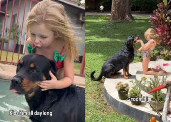 Dog Lets Little Girl Call the Shots Without a Single Complaint for the Sweetest Reason